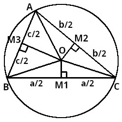 The perpendicular bisectors and circumcircle of the triangle