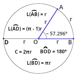 Angle measurement: π. Radians. Degrees